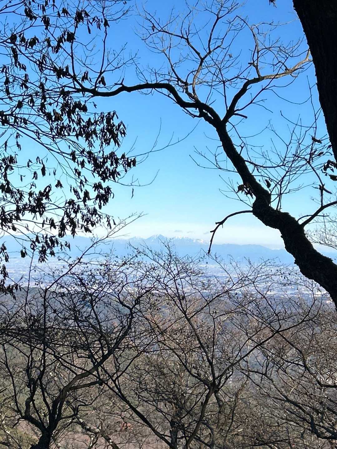 栗山登山口-笠山-笠山峠-七重峠-堂平山 往復コースの写真