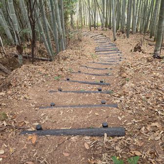 適当な時間まで落ち葉で遊んで帰りまーす🍂
しんちゃんもゆっくりとお昼寝出来た見たい😴zzz
めでたしメデタシ