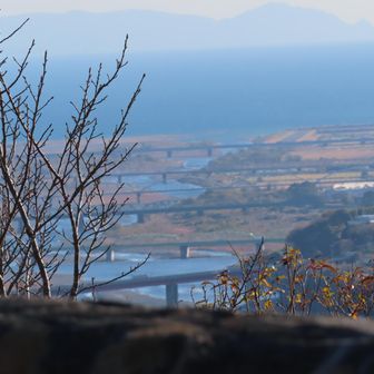 富士川に架かるたくさんの橋🌉
その流れの先には駿河湾🌊