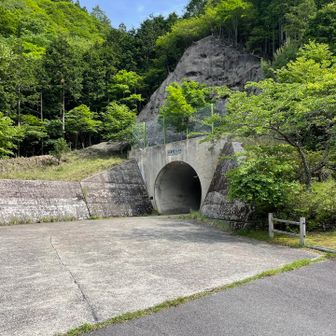 R169号川上村道の駅南の信号から林道に入りここに…。

🅿スペースはたっぷり。