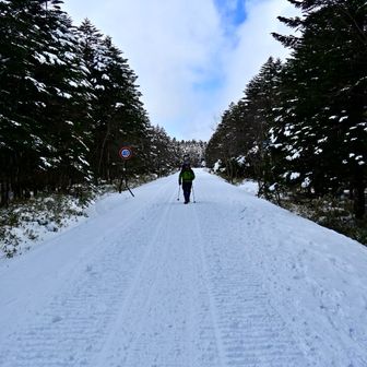 道路に出ました
ここを歩くのが地味にきつい
景色が変わらないし緩やかな登りで
だんだん　嫌になってきた
「まだー」と思わず言ってしまう😅