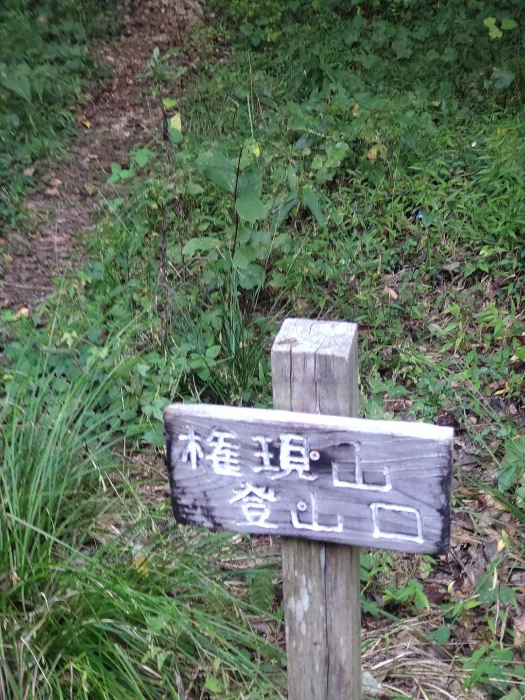 そして本日は新しくピーク認定されたお山の標識を山友さんと再確認にきました🎶