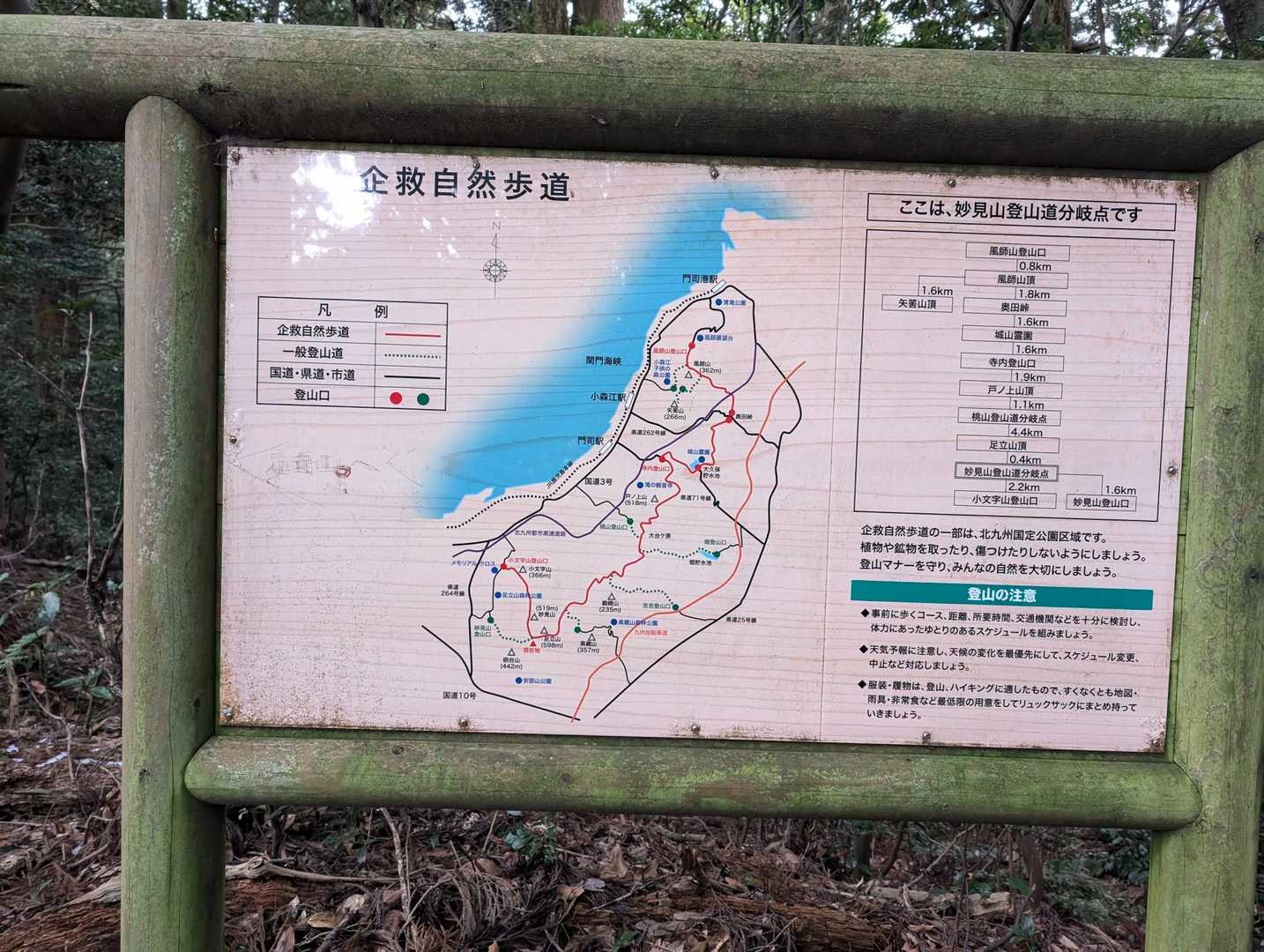 分岐
ふむふむ