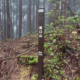 鞘口山のピーク