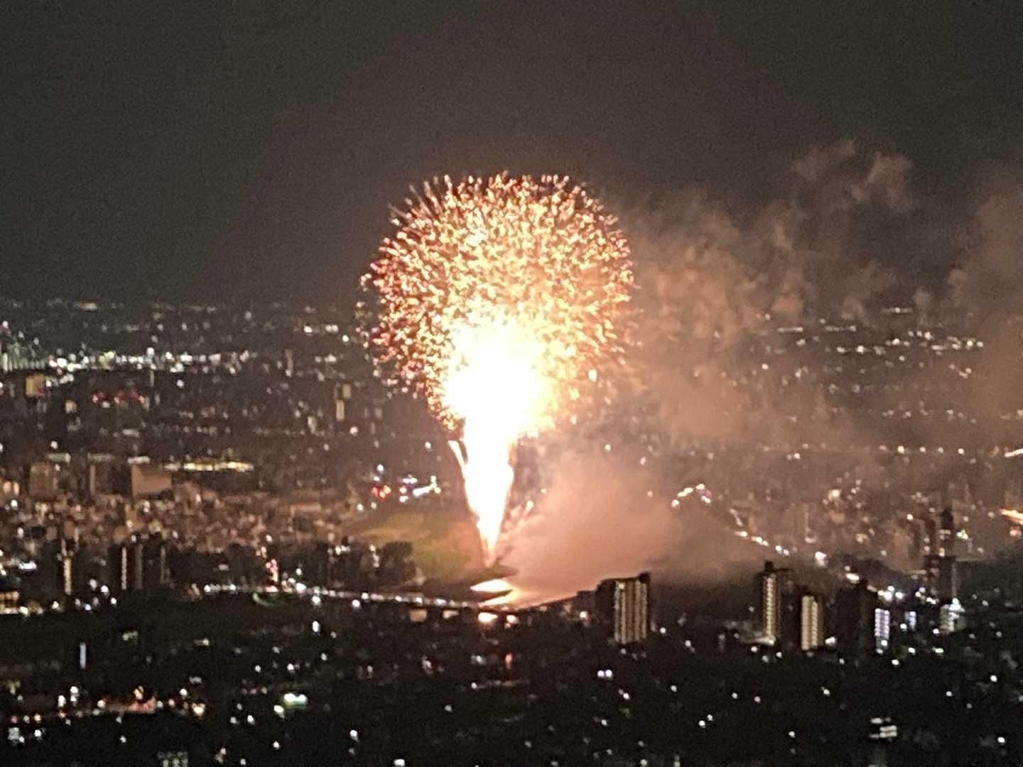 大人しく、目👀で見ることにします。