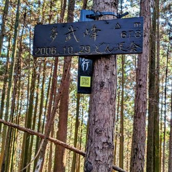 多武峰山に登頂です🙌
山頂プレート下にあったのでかけました^^;