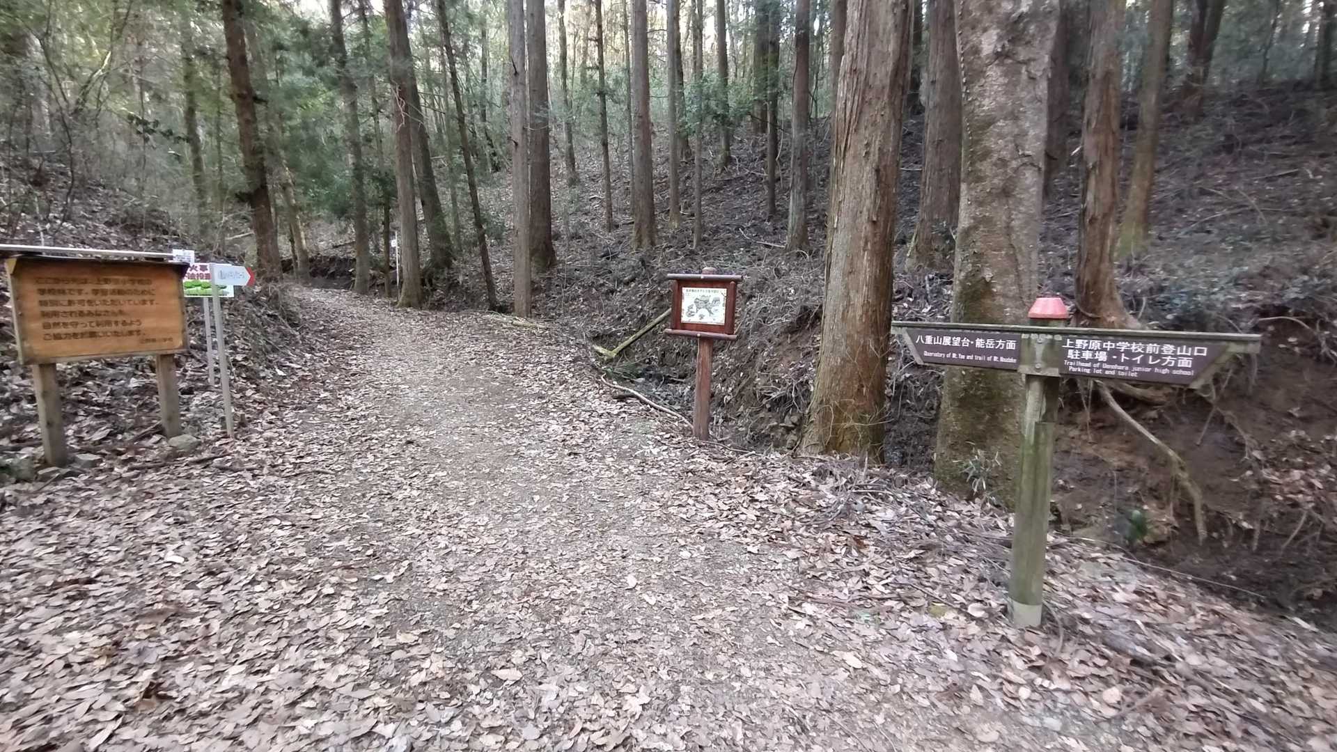 八重山駐車場前の登山口の撮影を忘れて、いきなり最初の分岐から写真スタート💦

5分ほど暗い沢沿いを進んで、ここから展望台へと上がっていきます😅