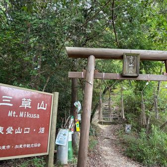 最短の畑コースで