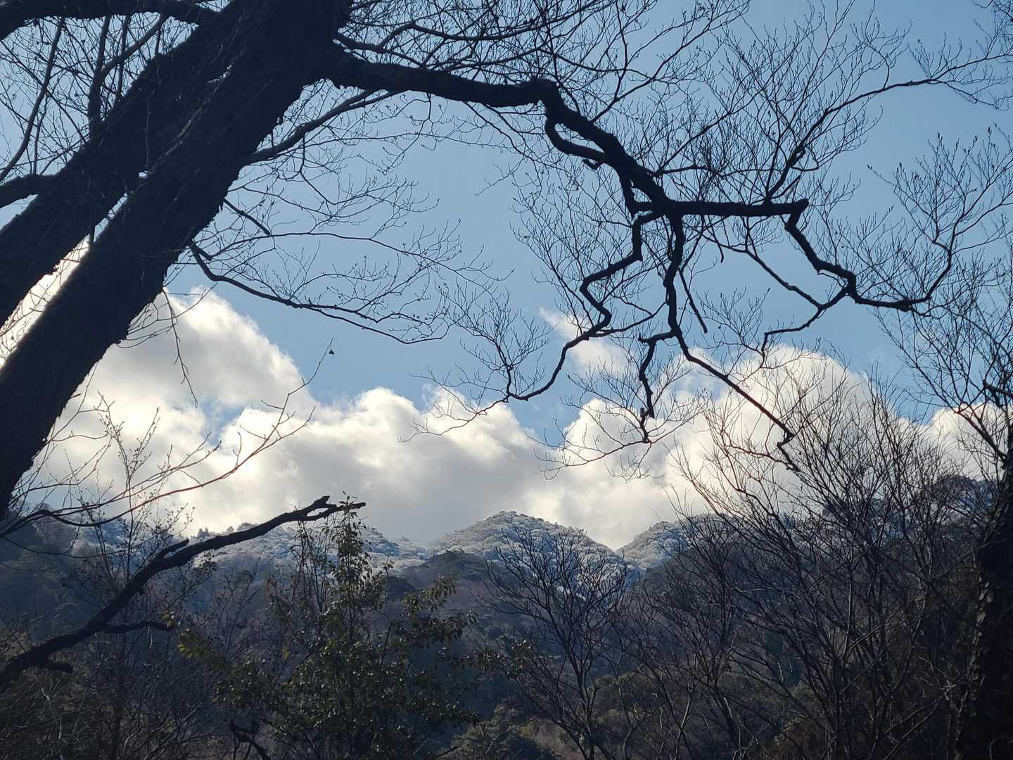 向こうの山々の木々がうっすら白い～