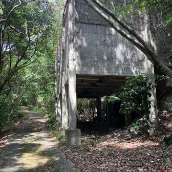 道が荒れていたので、見上げると、建物🏠あったので、道があると思って、強引に登り、道に出ました。道路に、出た方が歩きやすいです。安全です。