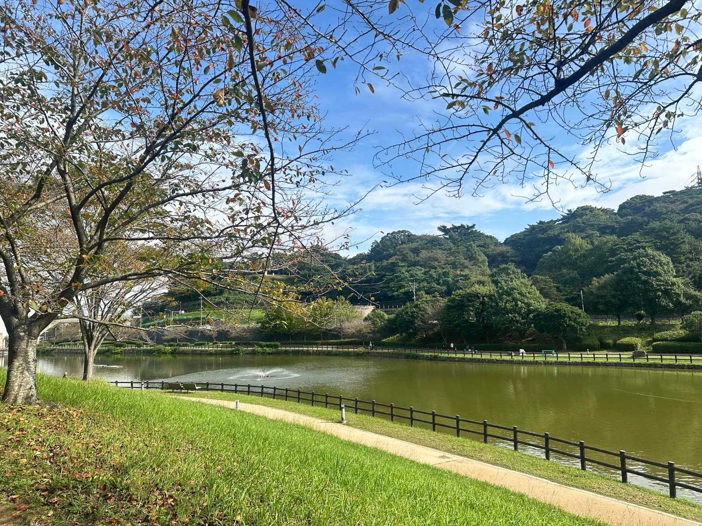 金比羅山 周回コースの写真