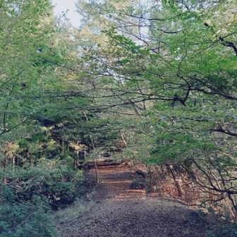 黒岳方面