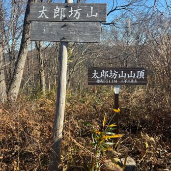 太郎坊山着きました。
ここには三角点がありました。