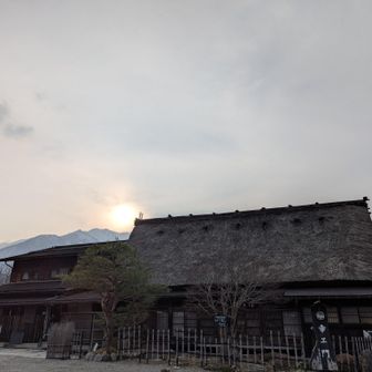 先月の白馬栂池と同様、外国人率高め🧑