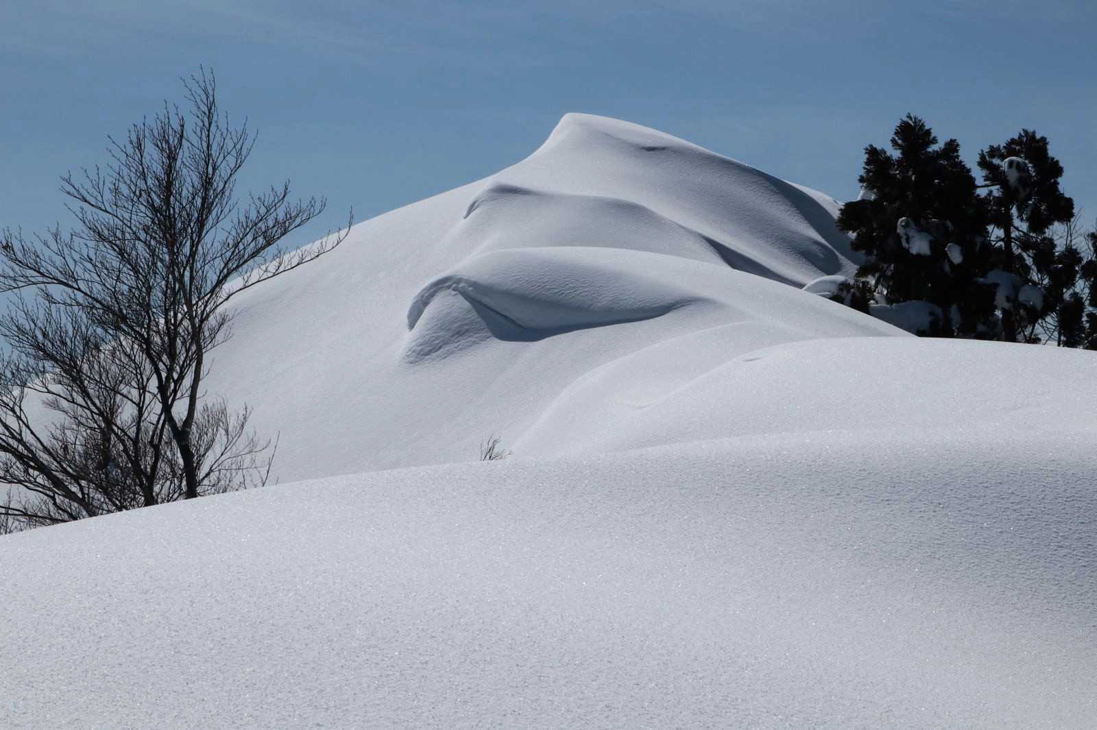 山頂です 積雪4～5ｍはありそうです