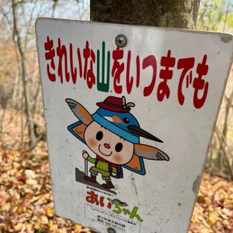 あいちゃん…頭にカブトかと思ったらカワセミですね…