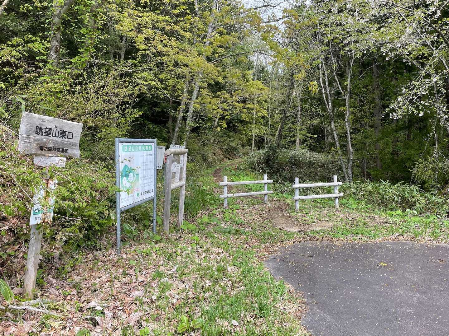 眺望山東口からスタート
果たして姫ホテイソウには会えるのか〜