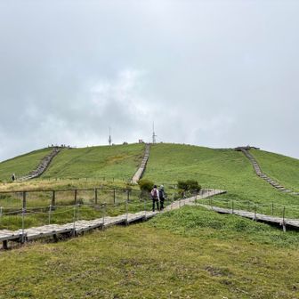 山頂一帯は草原