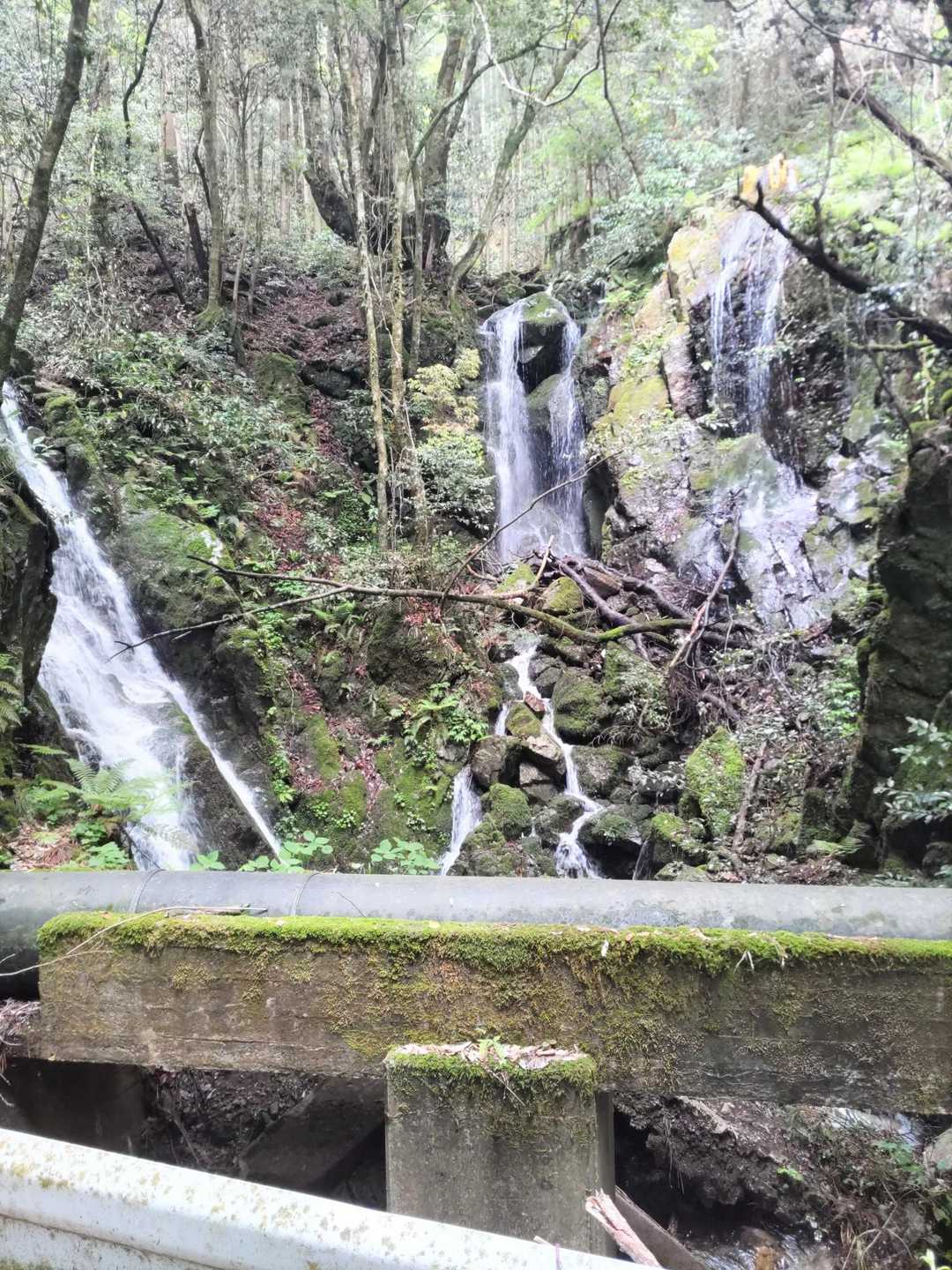 向峠バス停-小五郎山 周回コースの写真