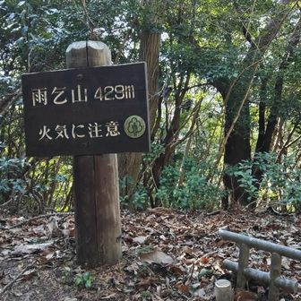 雨乞山　この日の最高点