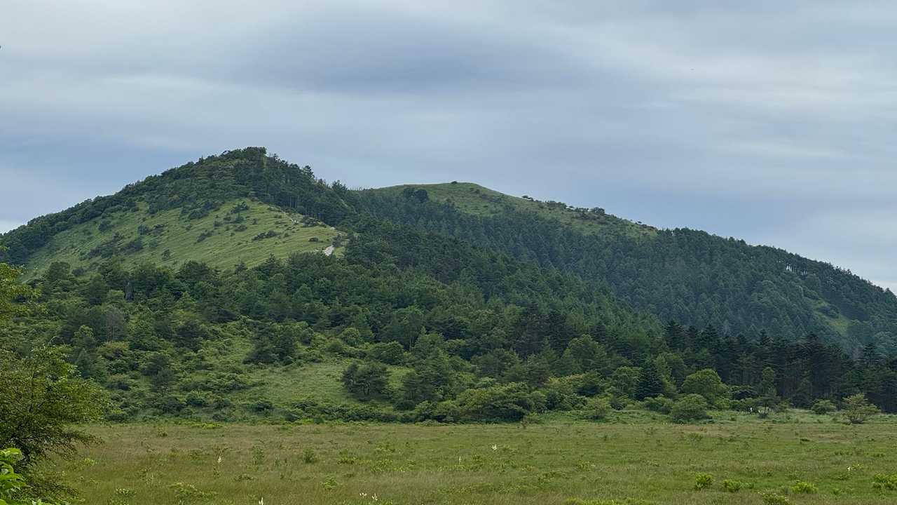 霧ヶ峰（車山・南の耳・北の耳・男女倉山）・八島湿原、高原周回ハイク の写真 21