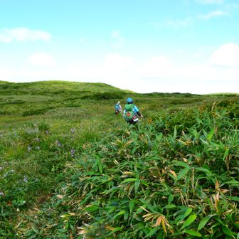 管理人さん、水洗トイレの水場補修で出会い、ここでも出会いました。
登山道の草刈り。とってもありがたいですね。
