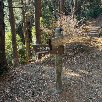 狐塚峠、ここから小下沢（こげさわ）方面に降りました、
