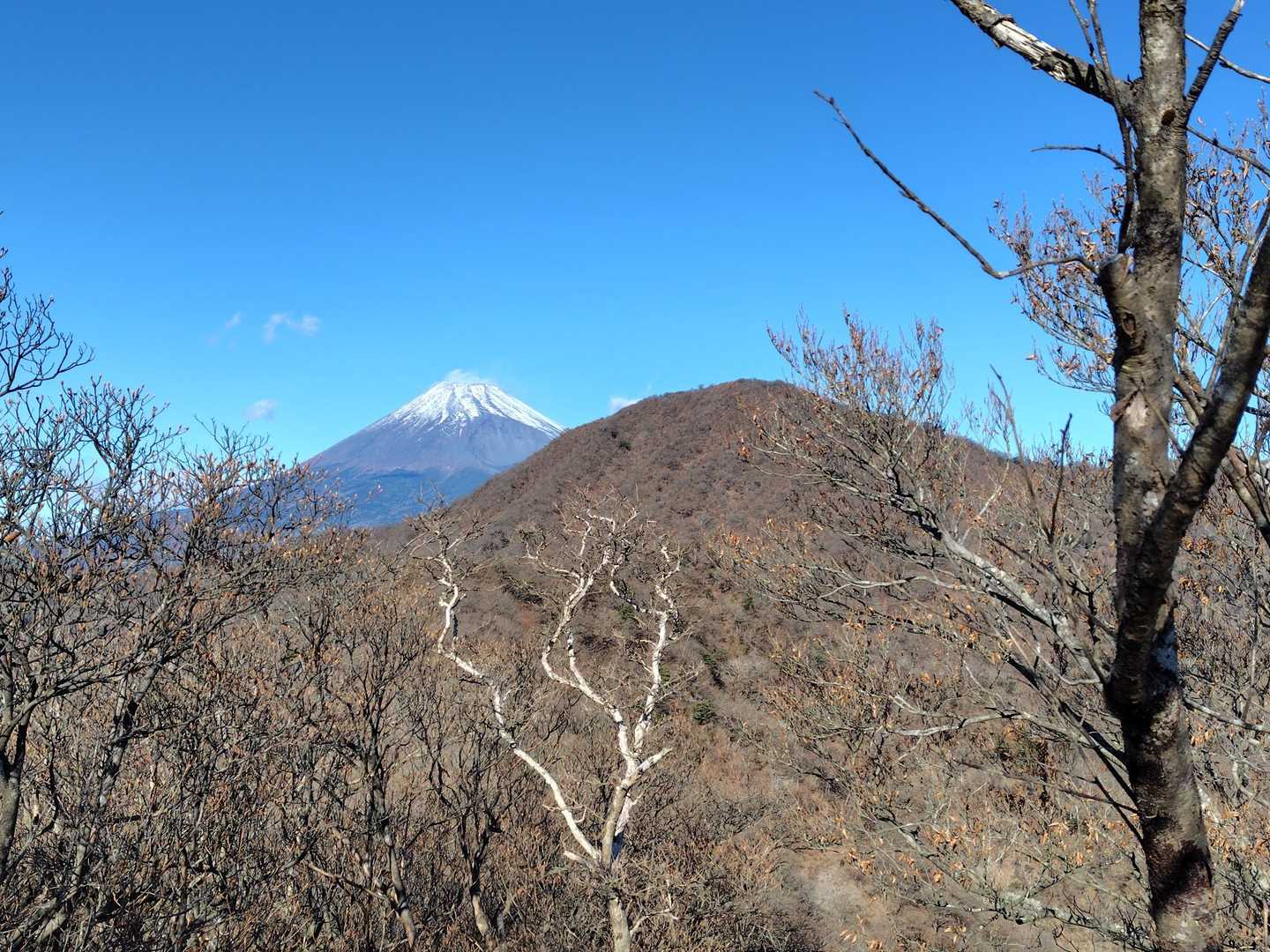 富士山と越前岳