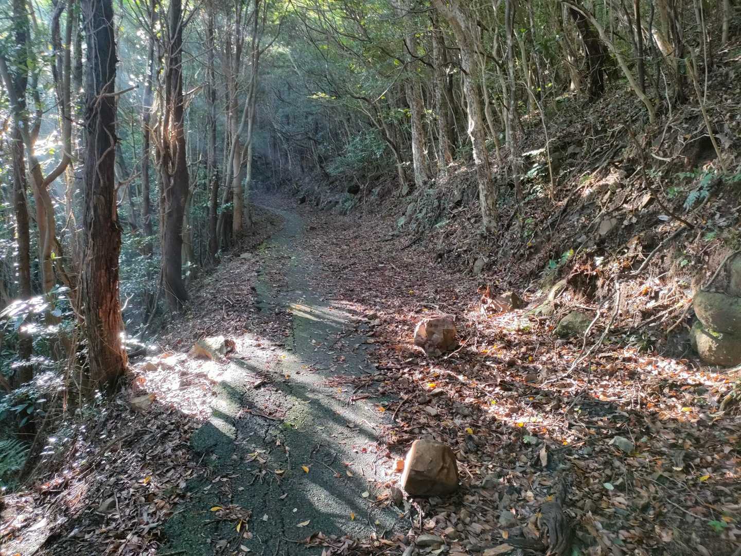 朝の光が差している〜Morning，morning君の朝だよ♪