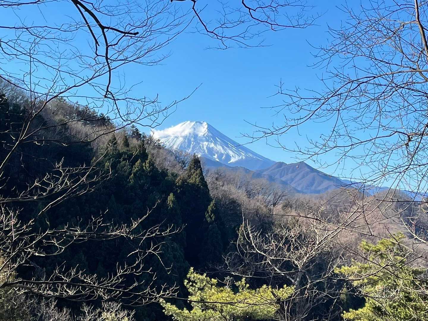 これが今日一番の富士山🗻