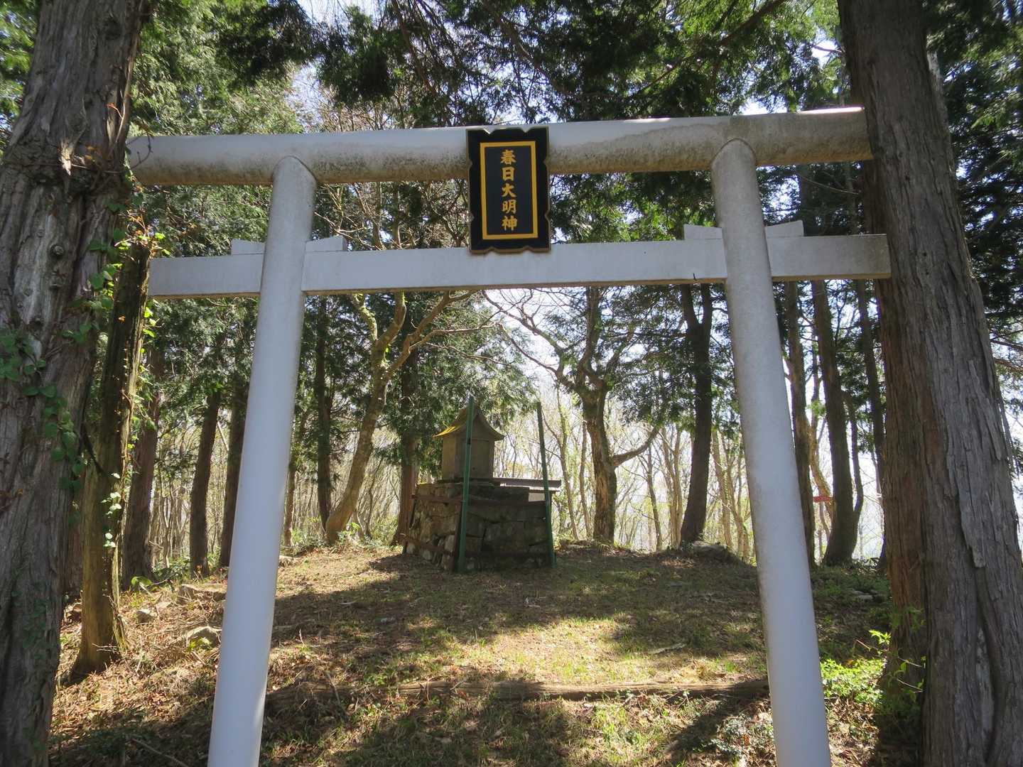 健康を祈願しました⛩️