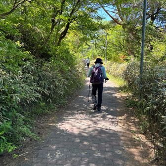 六甲ガーデンテラスに向かう