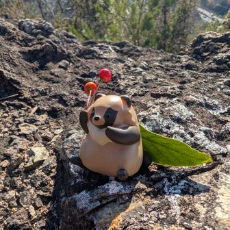 ぽんぽこ。つれてきました