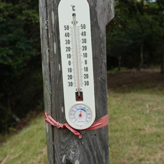 気温26℃
まあまあ過ごしやすい