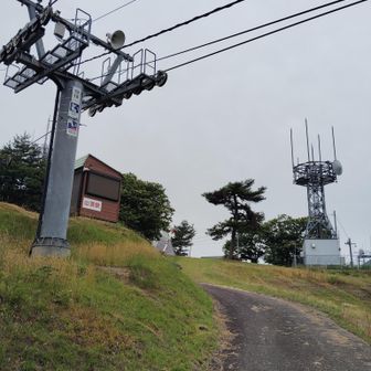 大人しく正規ルートから林道進むとサクッとゲレンデに出た⛷️　鉢伏山ってどこもスキー場あるのがフツーなのか？ここしかり福井しかり兵庫の氷ノ山のとこの鉢伏山しかり。