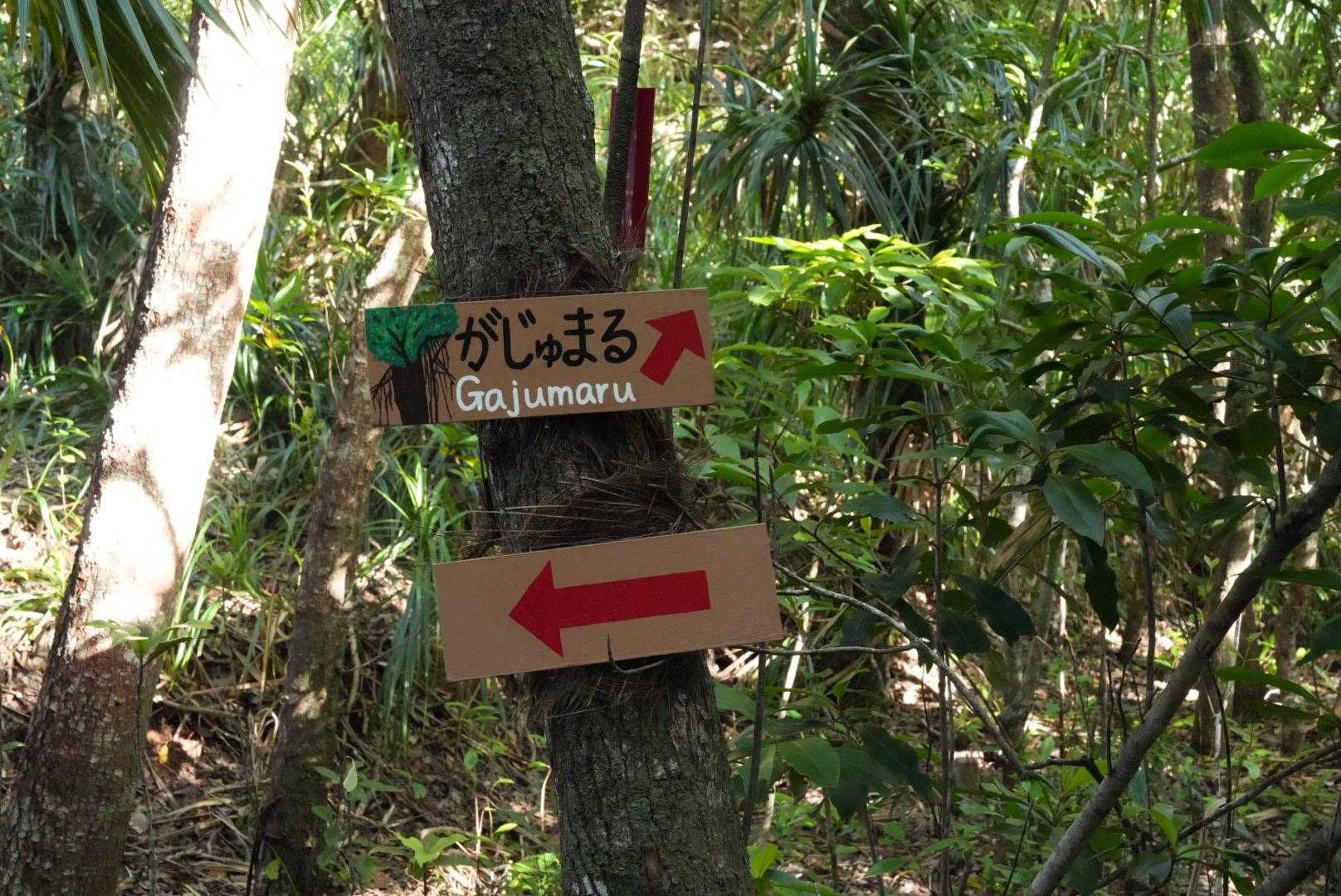 帰りはショートカットコースで