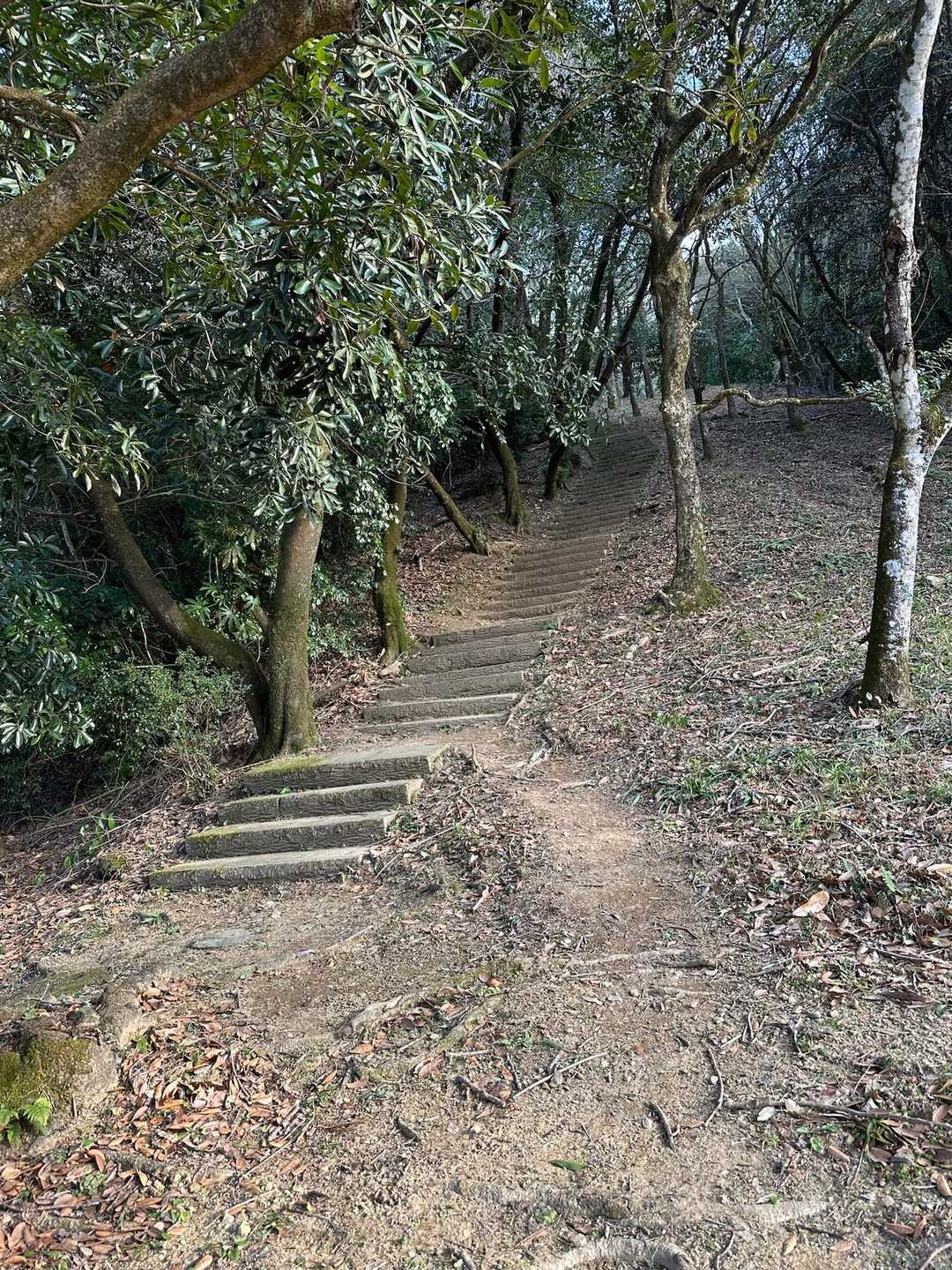 キャンプ場の方へ登る🧗