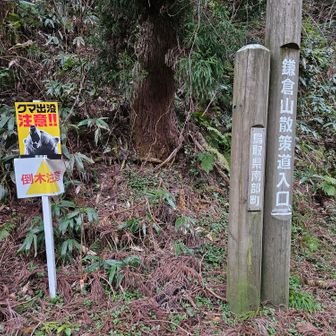 クマがいるのか・・・