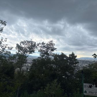 今にも降りそう💦
と言うか
北部は雷雨注意報出てるからね🏃‍♂️‍➡️