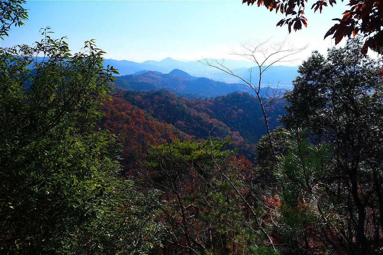 山頂手前からの眺め！
空気が澄めば筑波山などが見えるらしい。