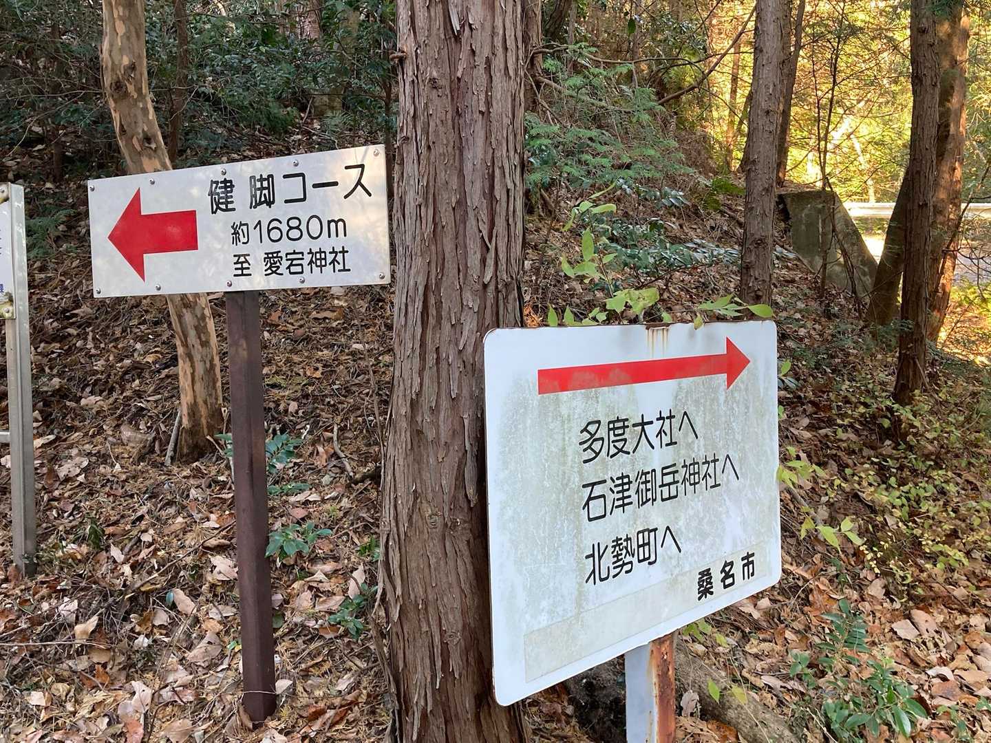ずっと前に登った健脚コース

めちゃくちゃ大変でした😰