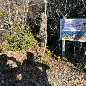 はちねぎさん…と読みます⛰️