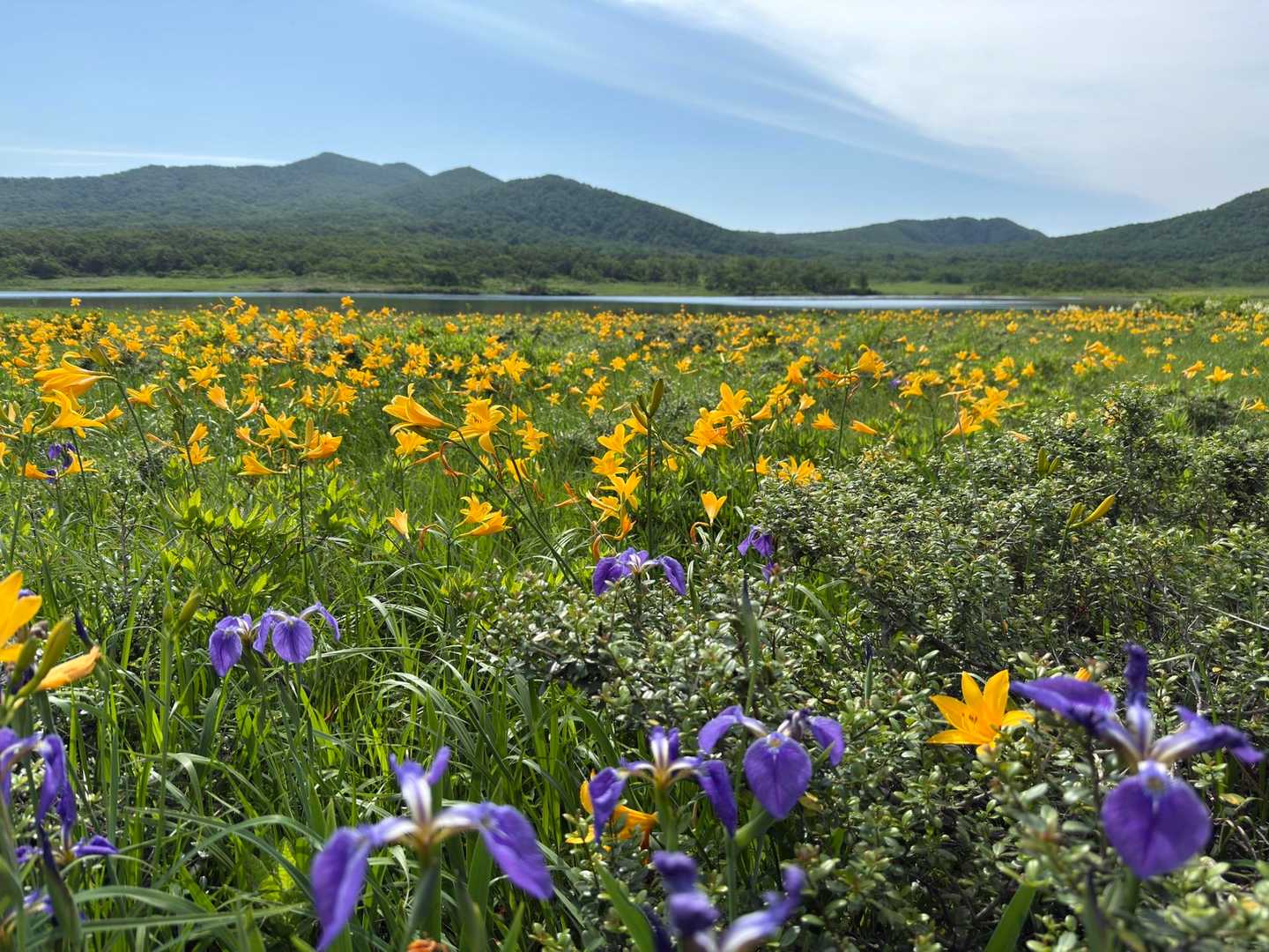 八方台登山口-猫魔ヶ岳-金沢峠 周回コースの写真