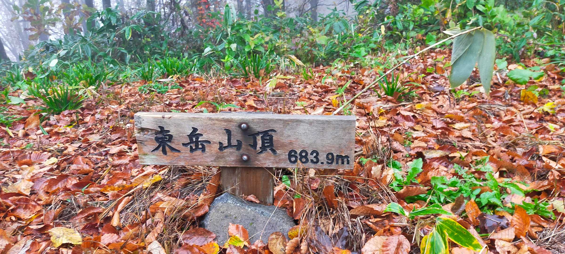 東岳 往復コースの写真