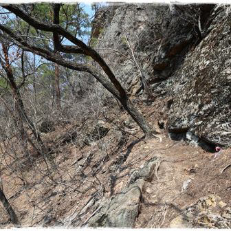 岩壁の近くを進むのではなく、一段下の道を進んだ方が良さそうです。