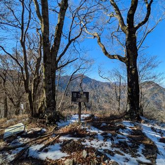 笹ヶ峰山頂
まあまあ景色いいですね。
ここで昼食
