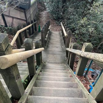 最初はこんな感じ