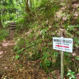 林道側の登山口まで辿り着く
（振り返って撮影）