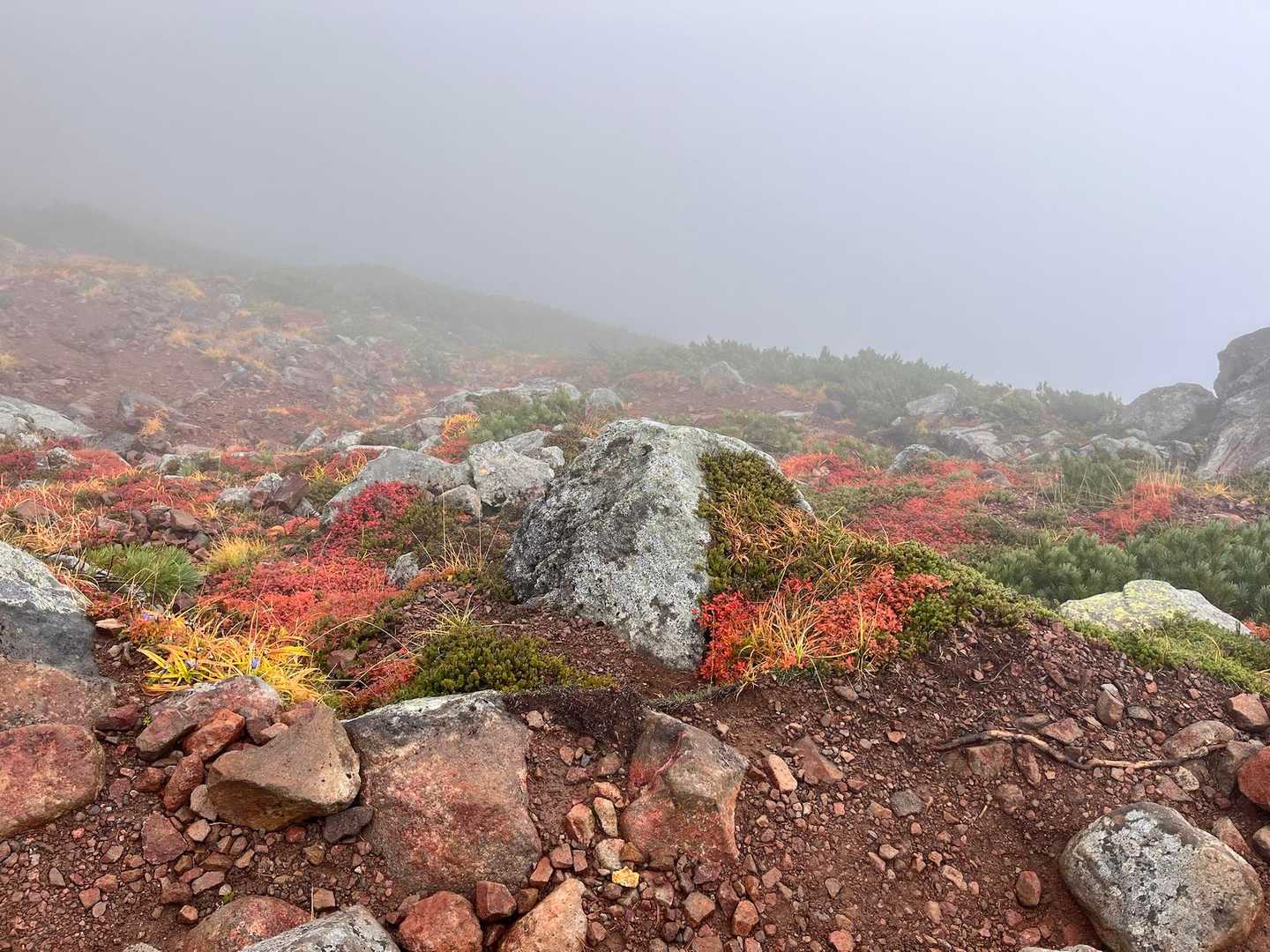 晴れてたらもっと綺麗だな〜