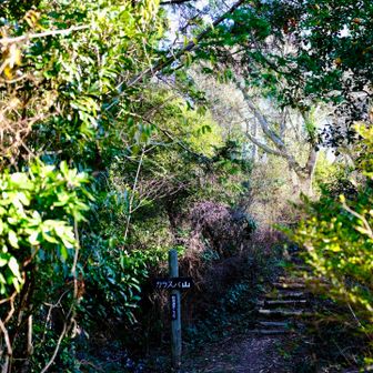 ネクスト。カラスバ山、の道標。階段を登ると